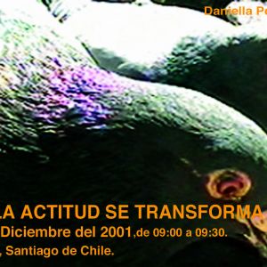 Quando l'attitudine diventa forma